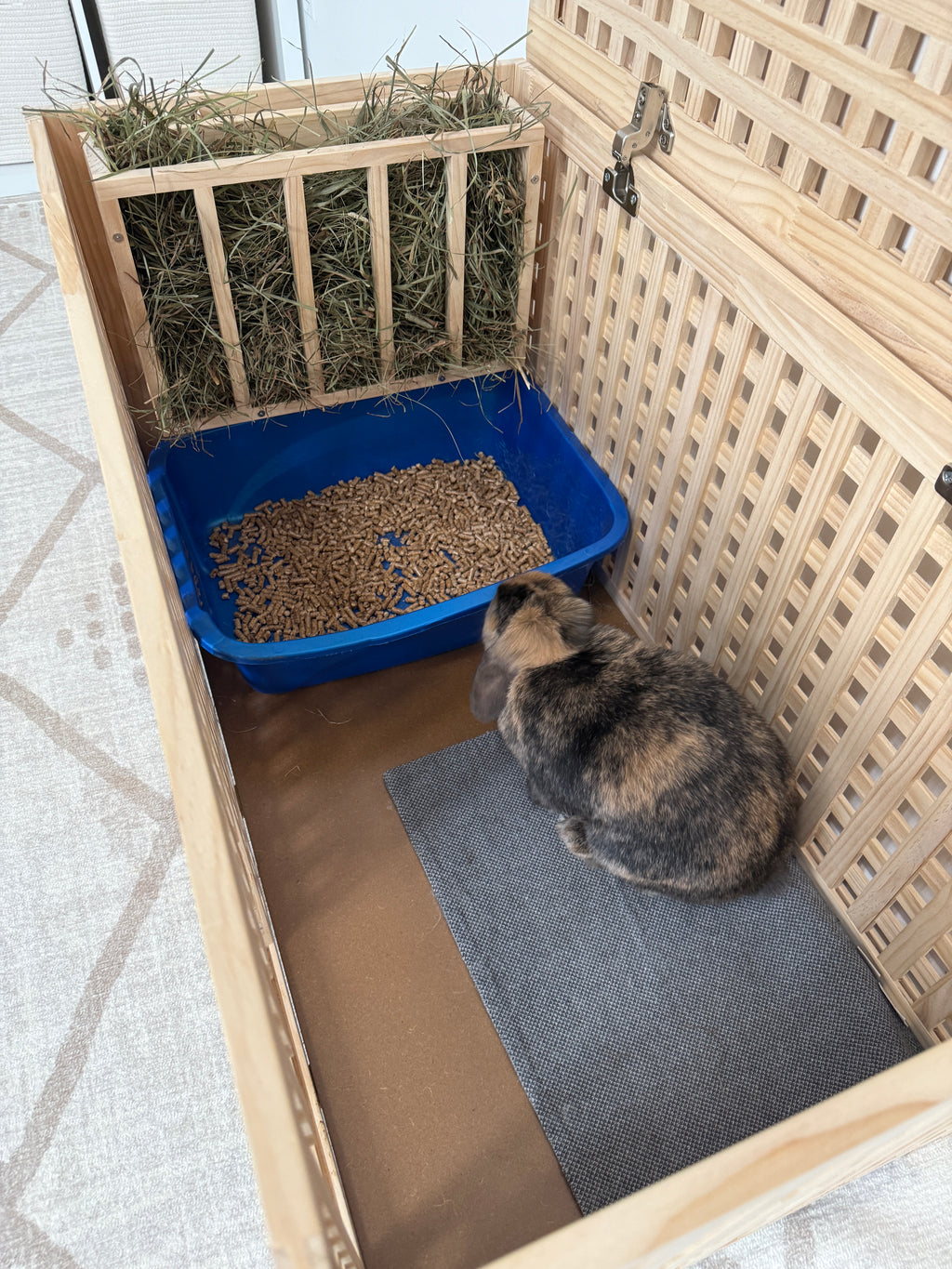 Harley Litter Box Enclosure (PRE-ORDER)