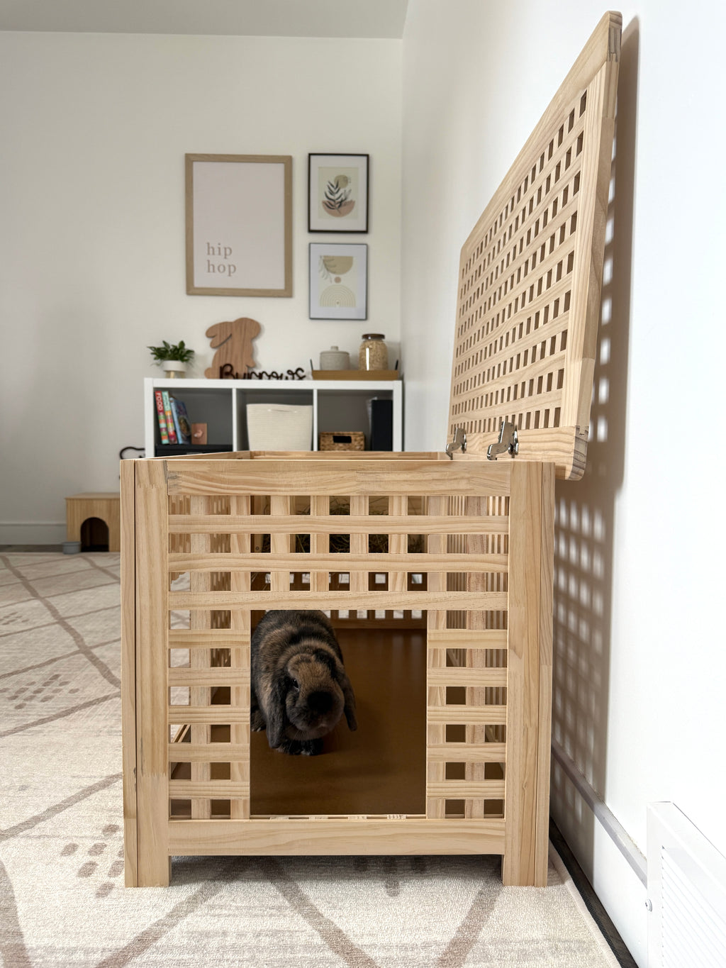 Harley Litter Box Enclosure (PRE-ORDER)