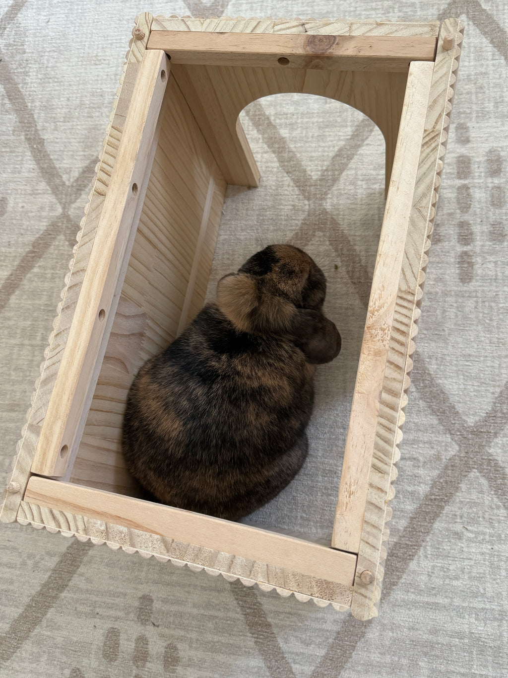 Bungalow Hidey ("Oops" Version)