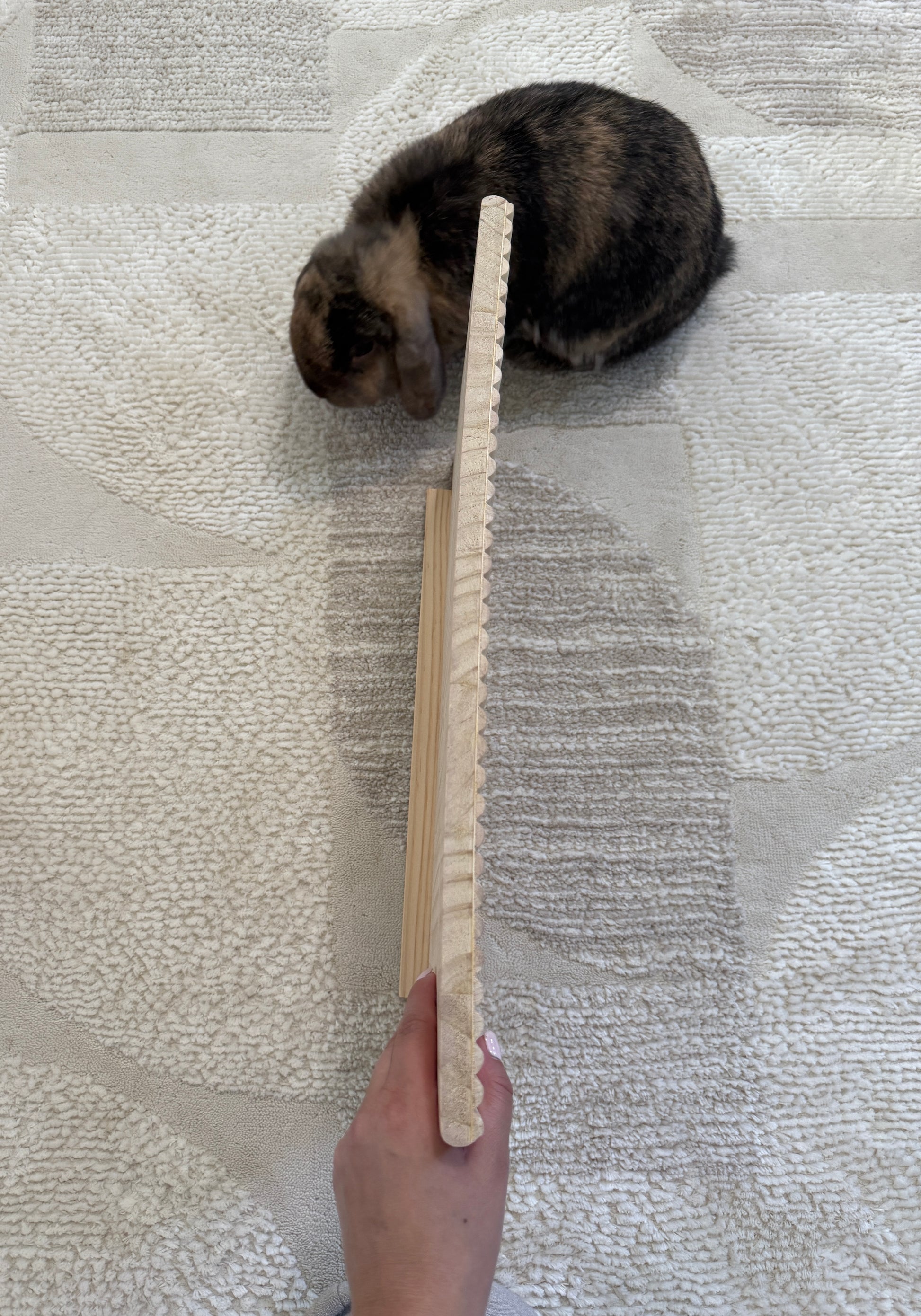 Bungalow Hidey ("Oops" Version)